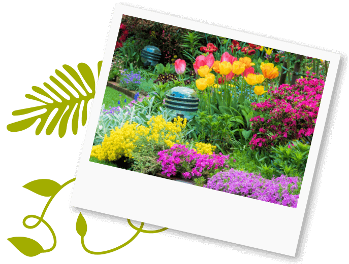 Hermanns Blumen Hermanns Blumen