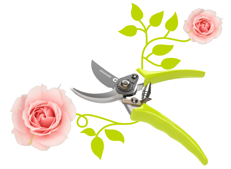Frau von Schnitt Gartenschere Frau von Schnitt Gartenschere
